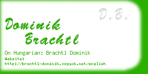 dominik brachtl business card